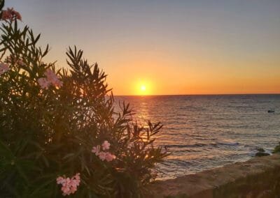Sardinia solarlag